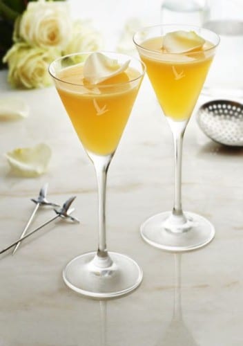 Grey Goose Oscar Worthy Cocktails