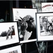 Morrison Hotel Gallery Unveils New Exhibit At Dream Downtown