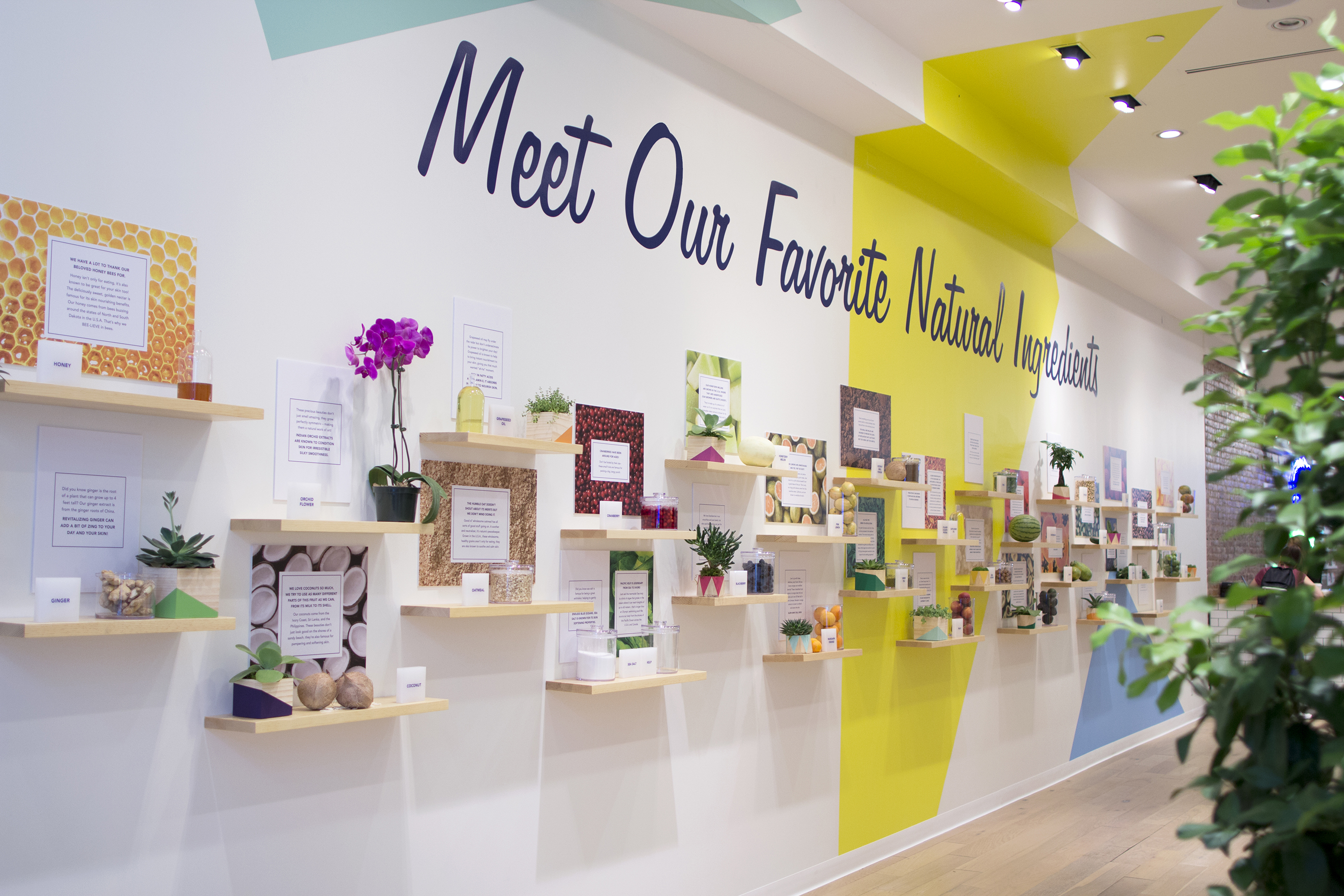 St. Ives Opens Custom-Blend Facial Scrub and Body Lotion Pop Up