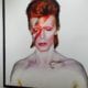 BOWIE The Photographs Arrives At The Morrison Hotel Gallery