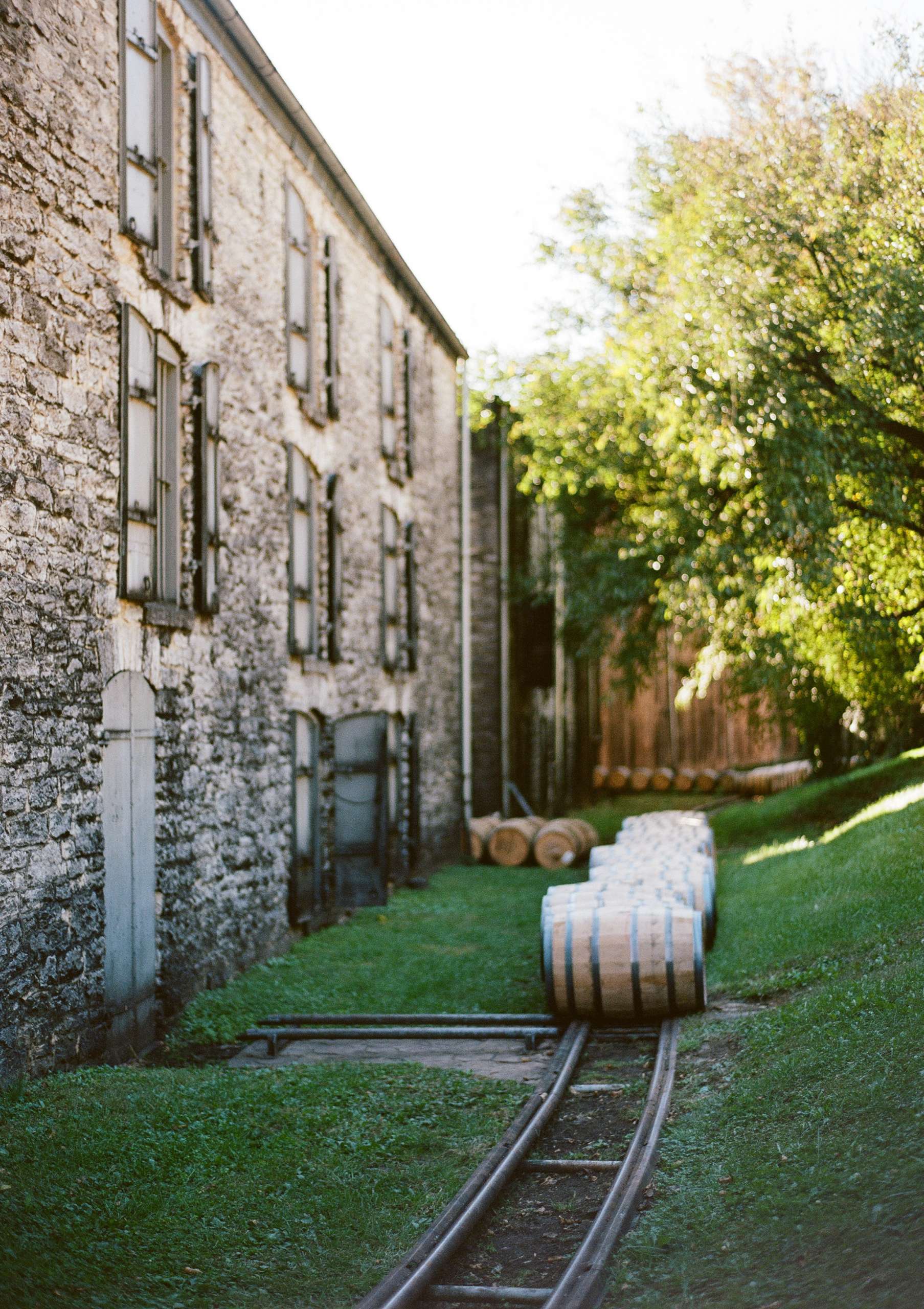 Raise Your Glass This National Bourbon Day With These Festive Selections