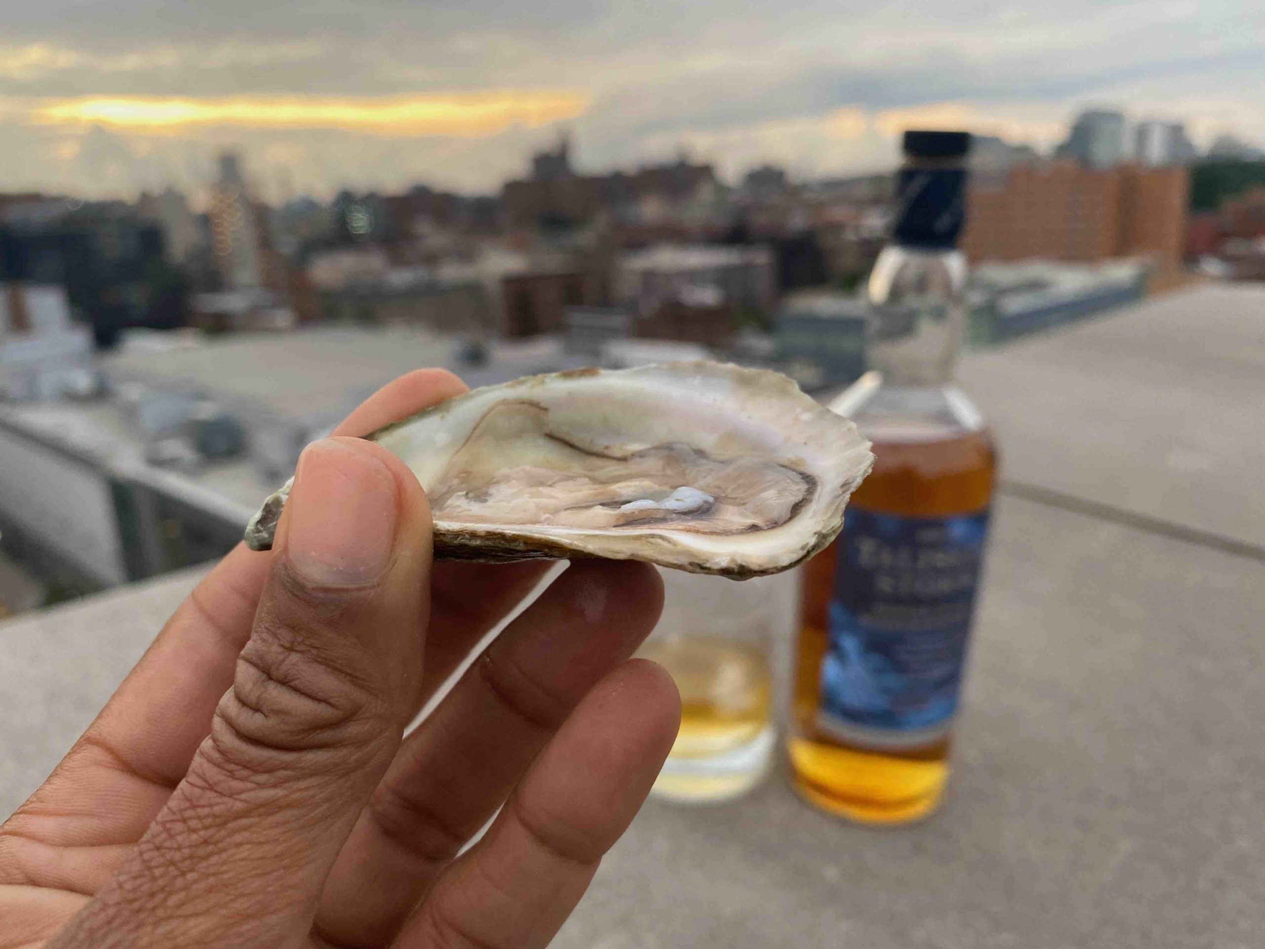 Pairing Oysters With Whiskey Is The Best Way To Celebrate National Oyster Day
