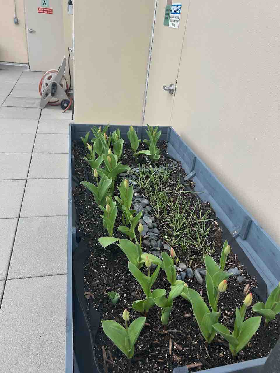 VEIKOUS 70 in. Oversized Wooden Raised Garden Bed Create the perfect outdoor retreat with stylish outdoor living spaces designed for relaxation, entertaining, and everyday luxury