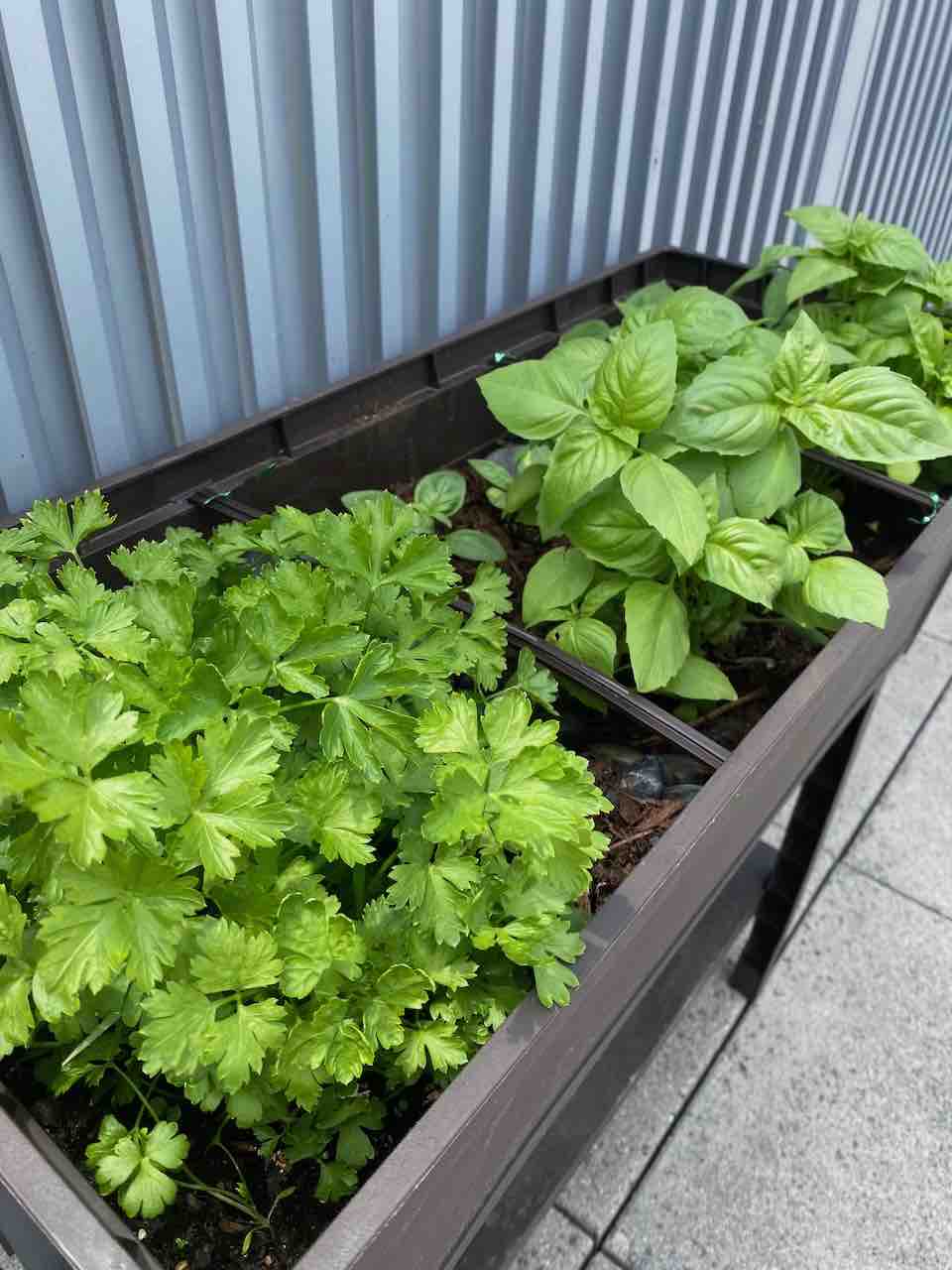 Vigoro 32.25 in. W x 31 in. H Elevated Resin Patio Garden Bed in Brown Transform your patio with outdoor living space decorating ideas that bring comfort, style, and warmth to every season