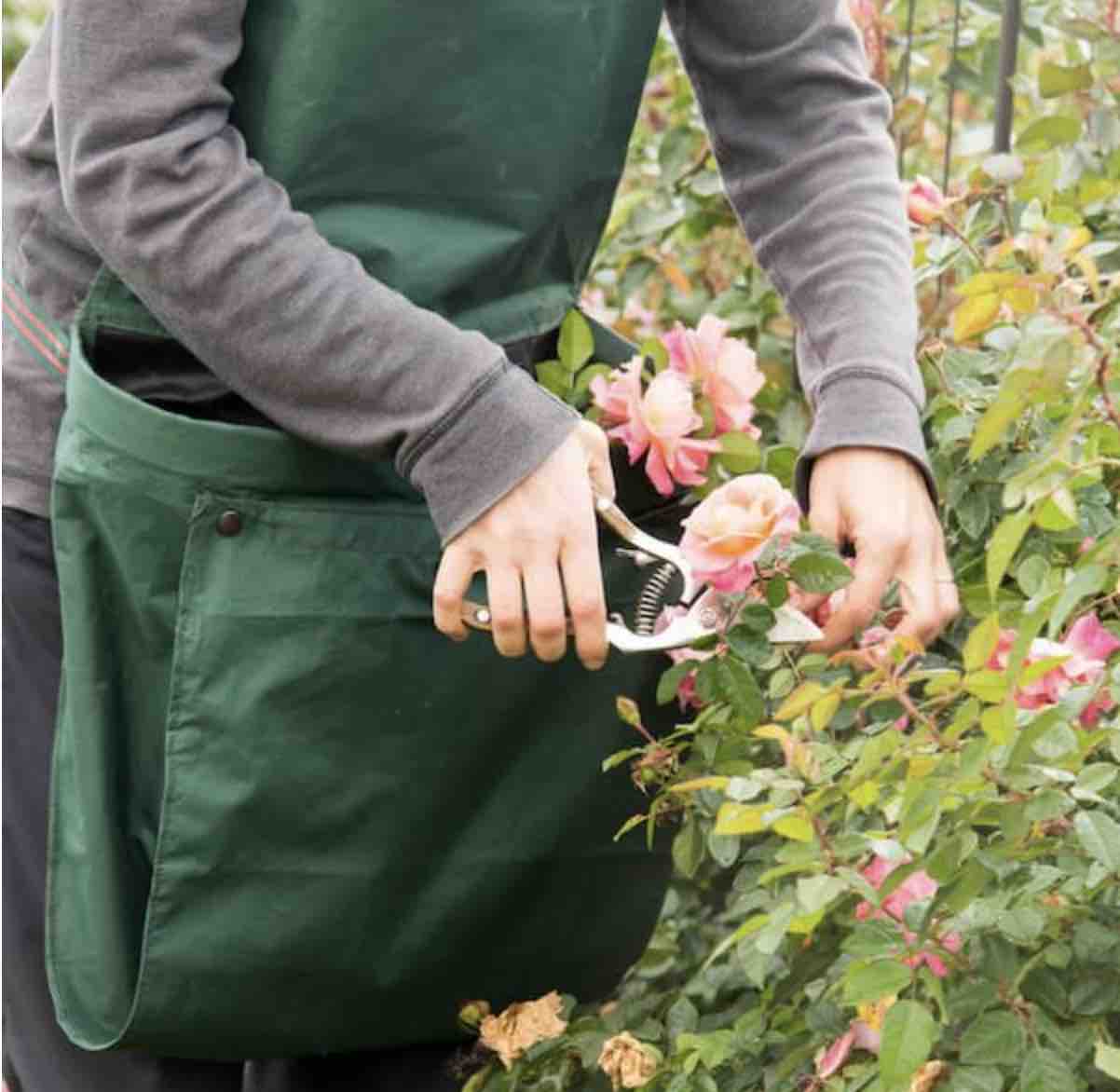 The Ultimate Guide To Get Ready For Spring Gardening