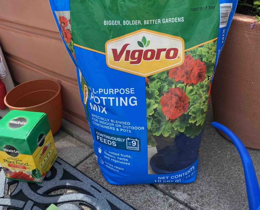 Here s Where To Eat On Thanksgiving In NYC here-s-where-to-eat-on-thanksgiving-in-nyc