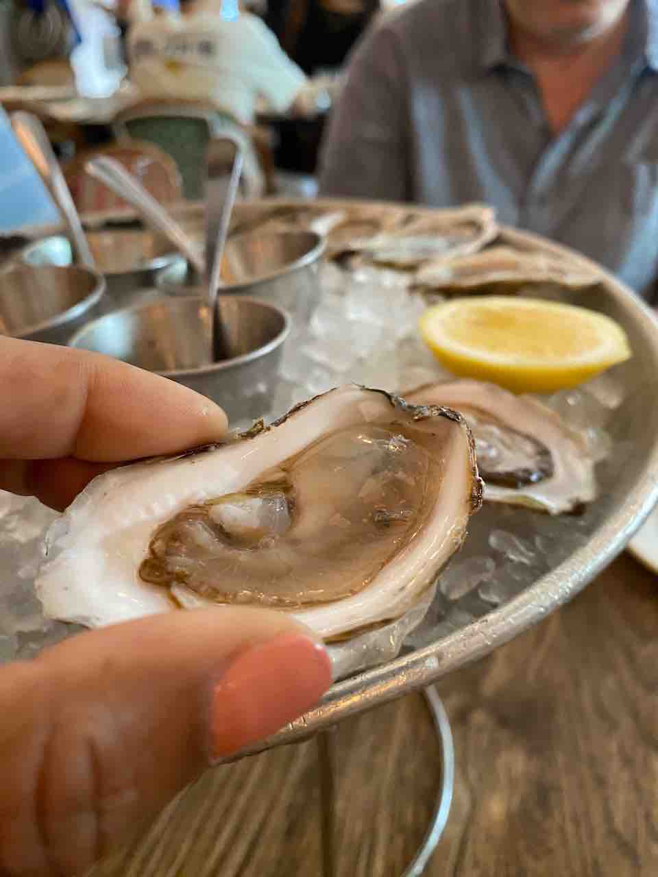 close up Taste your way through the best oyster bars in NYC. From rooftop lounges to candlelit gems, find your perfect shuck-worthy spot.