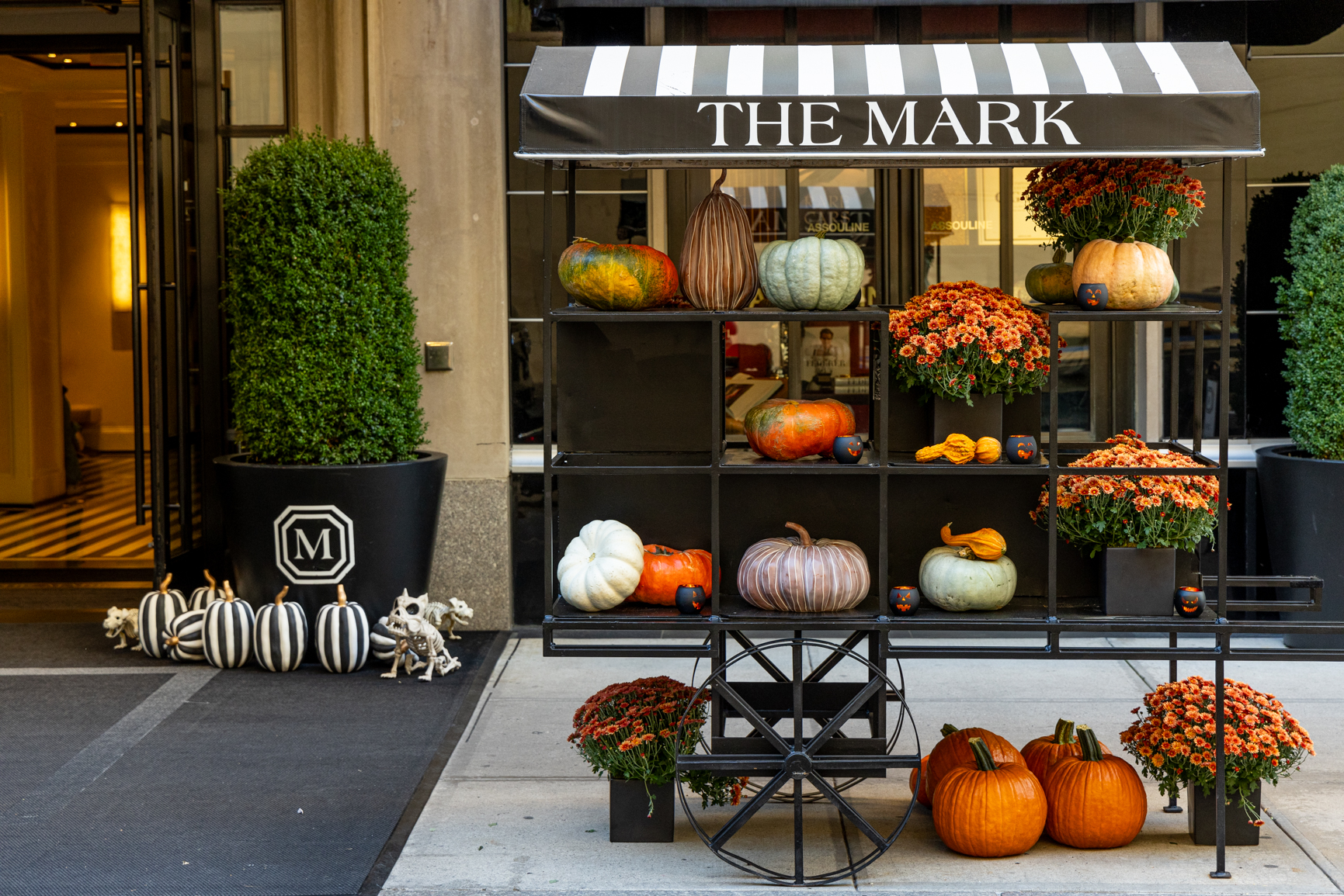 Discover the top Halloween events in NYC! Enjoy haunted parties, costume parades, and eerie experiences all across the city this spooky season.