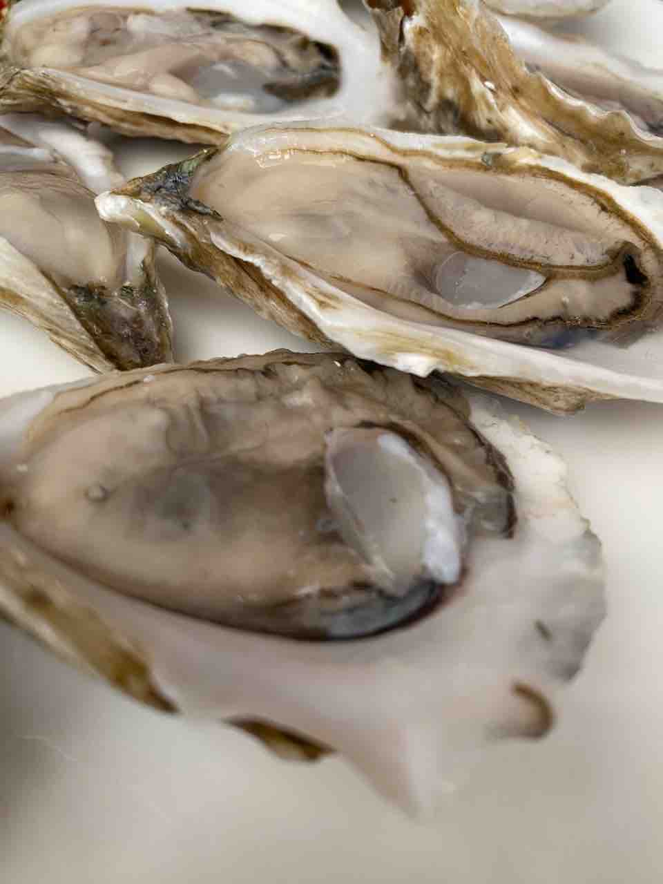 So What Is The Benefit Of Food Festivals? We Break Down The Best Of SOBEWFF: Standout Moments, Iconic Bites And Why It’s Worth It